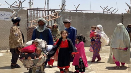 ۸.۲ ميليونه افغانان په ګاونډيو هېوادونو کې کډوال دي