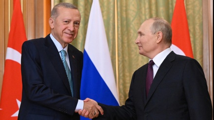 Putin zu Erdogan: Russland ist offen für Verhandlungen über ein Getreideabkommen