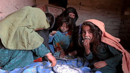 د خوړو نړیوال پروګرام له افغانستان څخه د وتلو خبرداری ورکړی