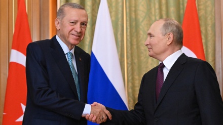 Putin tells Erdogan: Russia open to grain deal negotiations