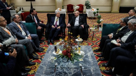 Исследование развития парламентского сотрудничества – тема встречи президентов Ирана и Египта