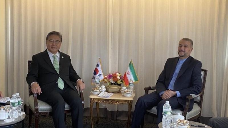 韓国のパク・ジン外相とアミールアブドッラーヒヤーン・イラン外相