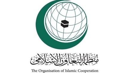 Организация исламского сотрудничества потребовала остановить преступления сионистского режима