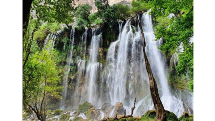 (VIDEO) Cascata Zardlimeh