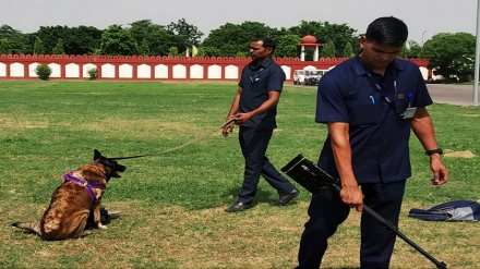  আকাশপথকে নিরাপদ করতে মোতায়েন করা হচ্ছে যুদ্ধবিমান, অ্যান্টি-ড্রোন সিস্টেম 