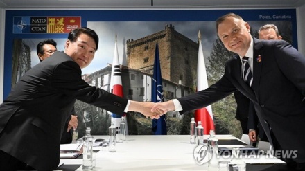 Реакция Польши на членство Украины в НАТО