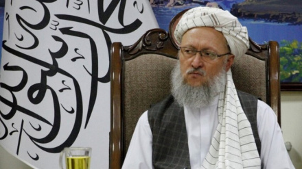 د روغتیايي ستونزو کمولو لپاره دې له بهر مېشتو افغان متخصصینو څخه کار واخیستل شي