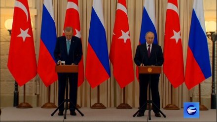 Зерновая сделка, газ и Украина: Путин и Эрдоган провели переговоры в Сочи