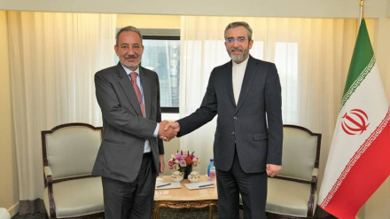 Замминистра иностранных дел по политическим вопросам: Правительство уделяет особое внимание судьбе всех иранцев в мире