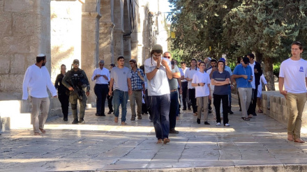 Piano sionista per normalizzazione con paesi arabi intensifica invasioni contro al-Aqsa: 
