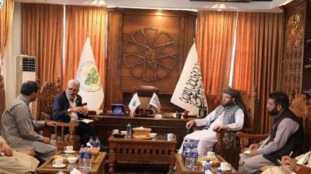 ملګري ملتونه له افغان کروندګرو سره  مرسته کوي