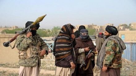 کشته شدن یکی از فرماندهان گروه تحریک طالبان پاکستان در پکتیکا