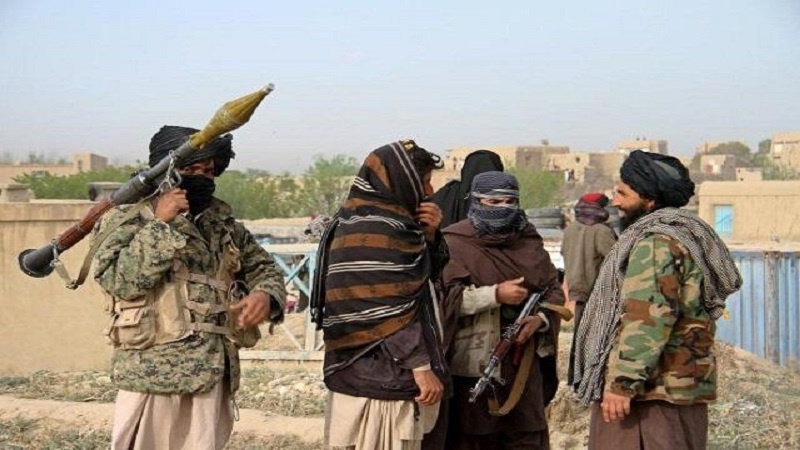 کشته شدن یکی از فرماندهان گروه تحریک طالبان پاکستان در پکتیکا