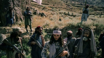 جبهه آزادی 9 تن از نیروهای طالبان را در اندراب و بلخ از پای درآورد