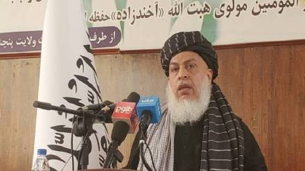 د طالبانو سیاسي مخالفان دې وطن ته راشي او په ویاړ دې ژوند وکړي