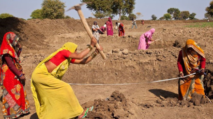 मनरेगा मज़दूरों को नहीं मिला कई महीनों से भुगतान
