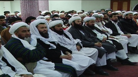 رهبر طالبان، شورای علمای ولایات را بدون حضور روحانیان شیعه تشکیل داد