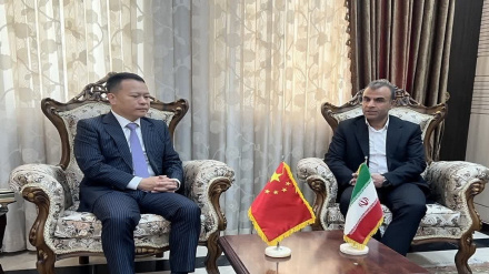 中国商人对在霍尔木兹甘省进行投资表示出兴趣