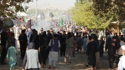  راهپیمایی اربعین حسینی در افغانستان