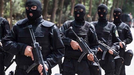 Forcat e sigurisë penguan sulmin e armatosur në një tubim të paligjshëm në Iranin perëndimor