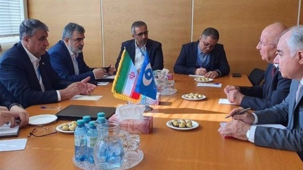  Iranian, Pakistani atomic chiefs discuss cooperation in civilian nuclear energy 