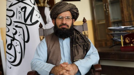 طالبان: بیش از ۳۶۰ رسانه در افغانستان فعالیت می کنند