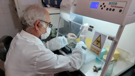 Иранские исследователи разработали новый метод лечения атеросклероза