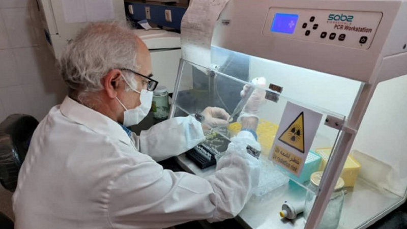 دستیابی محققان ایرانی به روش درمان جدید بیماری تصلب شرایین