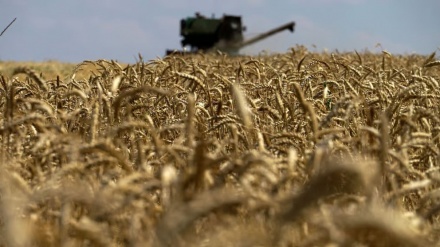 Ukraine to challenge EU neighbors over grain import bans