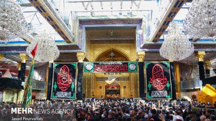 Pilgrims attend Arba'een ceremonies in Karbala (2)