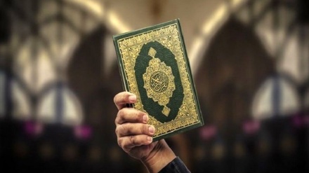 Арабский мир осудил возобновление оскорбления в адрес Священного Корана в Нидерландах