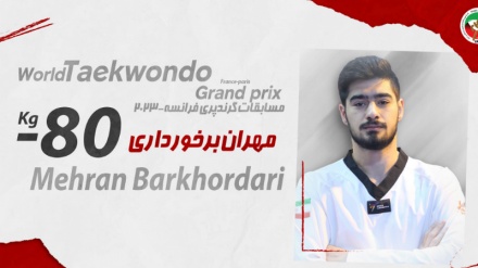 Бархурдари завоевал золото на Гран-при Парижа по тхэквондо