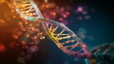 کشف ژن های جدید نویدبخش برای درمان سرطان