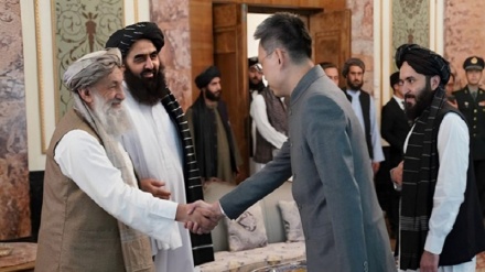 دیدار رئیس کابینه طالبان با سفیر جدید چین در کابل