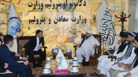  د ټاپي پروژې په ژر پېل کېدو ټينګار وشو