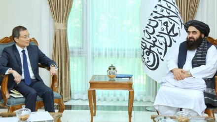 نړۍ په مختلفو زمینو کې د افغانستان له حکومت سره ملګرتیا ته تیاره ده