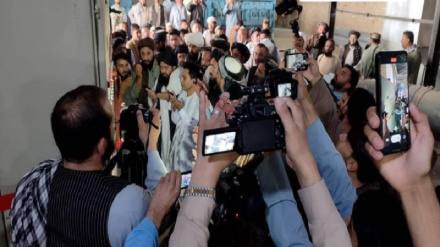 د افغانستان په شمال کې د پنبې د پروسس کار پیل شو