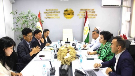 دیدار مقامات وزارتخانه های کشاورزی تاجیکستان و کره جنوبی