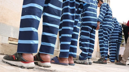 Уничтожение террористической группировки на западе Ирана