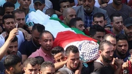 משרד הבריאות הפלסטיני: אדם נרצח מירי כוחות ישראל בכפר ממערב לג'נין