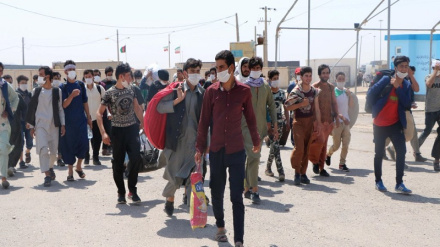 د افغان کډوالو د شمېر په اړه د افغانستان په چارو کې د ایران د ځانګړي استازي د رسنیز مرستیال څرګندونې