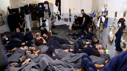 Abgeordneter: USA wollen IS-Terrormiliz in Syrien wiederbeleben
