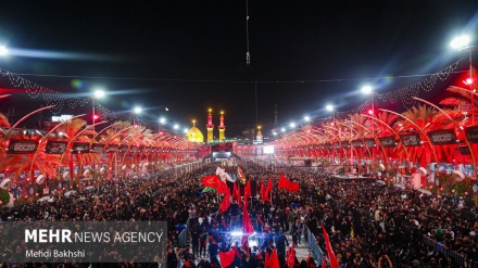 Pilgrims attend Arba'een ceremonies in Karbala (1)