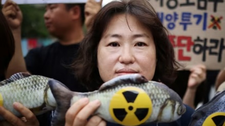 韓国で、人々の汚染懸念により水産市場も閑散