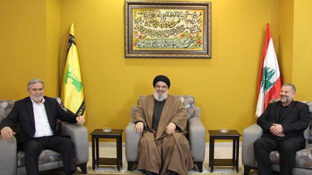 ইসরাইলকে ঐক্যবদ্ধভাবে জবাব দিতে লেবাননি ও ফিলিস্তিনি নেতাদের অঙ্গীকার 