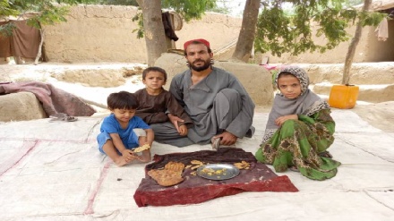 هشدار برنامه جهانی غذا در مورد نداشتن بودجه کافی در افغانستان
