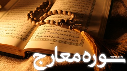  Quran Quest (397)