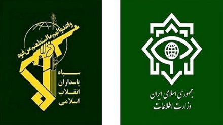 Выявление и судебное преследование членов сети, организующей беспорядки в Иране