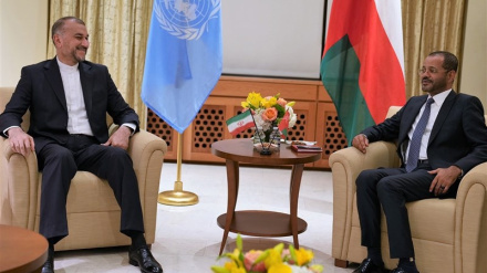 Встреча министров иностранных дел Ирана и Омана