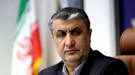 イラン原子力庁長官、「制裁全廃までは現在のプロセスを継続」